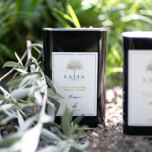 Olio · latta